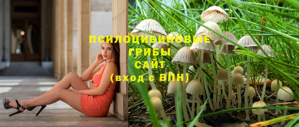 не бодяженный Козловка