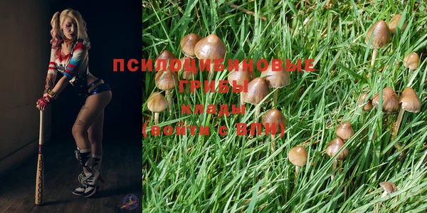 не бодяженный Козловка