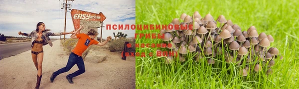 альфа пвп Коряжма