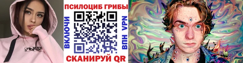 Псилоцибиновые грибы Psilocybine cubensis Мыски