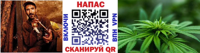 Купить где  Мыски  Конопля OG Kush 